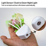Mushroom Led Night Light | with automatic on - off Sensor
